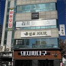 싸다구돼지 이미지