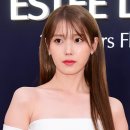 화이트스완 이미지