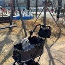 빅펫 | [강아지유모차추천]낫쏘빅 아로아3 펫유모차 내돈내산 구매후기