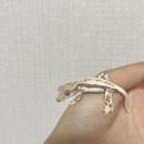 맘앤라이프 | 시흥 은계 도마뱀라이프&amp;앵무새하우스, 직접 가본 후기! 새 식구로 분양까지