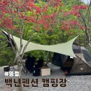 파프리카펜션G | 영월 백년펜션&amp;캠핑장 최악의 캠핑장 등극 (feat.미니멀웍스 파프리카매그넘, 마스돔)