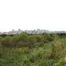 운양생태공원 이미지