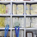 세종태권도 이미지