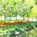 디올모텔 이미지