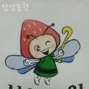신리농장 | 용인딸기체험 상상농원 서울근교 딸기농장 업체 정보