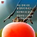 서부산업단지공원 이미지