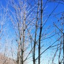 태산농장 이미지