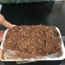 서공동물병원 이미지