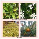 최인숙 농장 이미지