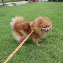 치악예술관 이미지