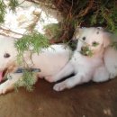 병길농장 이미지