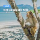 나트랑 원숭이섬 후기 6살 아이와 다녀온 7월 해외여행 추천 코스