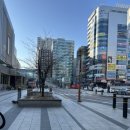 크로스핏 파무짐 이미지