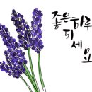 커피딜라이트
