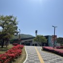 세븐일레븐 강화장흥점 | 5월 날씨 좋은 날 아이와 갈만한 곳 강화 루지 방문 후기