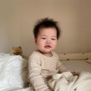 베베놀카페 | 수원 아기랑 갈만한 곳, 베이비카페 베베놀 후기