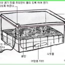 한국춘란(韓國春蘭) 화경 관리/04(한번기76) 이미지