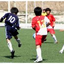 여주초등학교 이미지