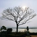 프라움악기박물관 이미지