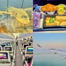도하 | 카타르항공 환승 QR859 체크인 기내식 좌석 도하공항 후기 꿀팁