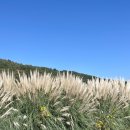 천천면광산마을 이미지