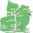 영천시립도서관 | 부천 도당공원 백만송이 장미축제 대중교통으로 편하게 즐겨요 🚌