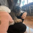 모찌네호캉스 이미지