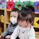 곰돌이북 Daum카페