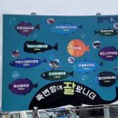 울진생선구이 이미지