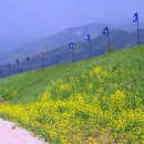 시원목장 이미지