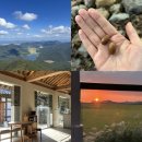 씨유 옥정천년나무점 | 해남 뚜벅이 혼자여행 : 두륜산케이블카 대흥사 카페유선