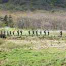 자연의숨결 이미지