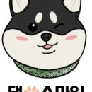 스마일애견미용 이미지