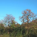 수철경로당 이미지