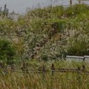 인천종합관광안내소 이미지