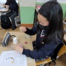 서부외국문화학습관 이미지