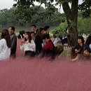 다정한이웃 이미지