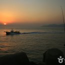 연포해수욕장(송림) 이미지