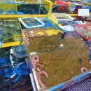 솔밭해안가펜션 이미지