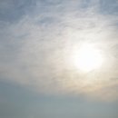 욕지도 관광농원 이미지