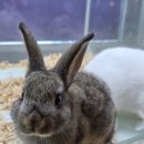 와우(양산점) 이미지