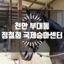 진북면행정복지센터 외부 화장실 | 천안승마센터 정철희 국제승마센터에서 승마 초보자 코스 체험 후기