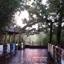 오산10리 티스토리