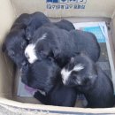 805회 예상 번호 올려 드립니다~~ 이미지