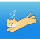 안산안경숲 이미지