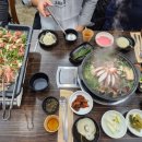 풍성한오리 이미지