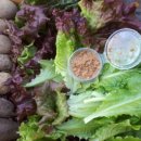 혜성농장 이미지