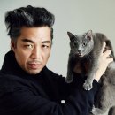 안길강 카카오 검색결과