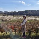 정우 흑염소 농장 이미지