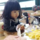 콩콩 & 조이 이미지